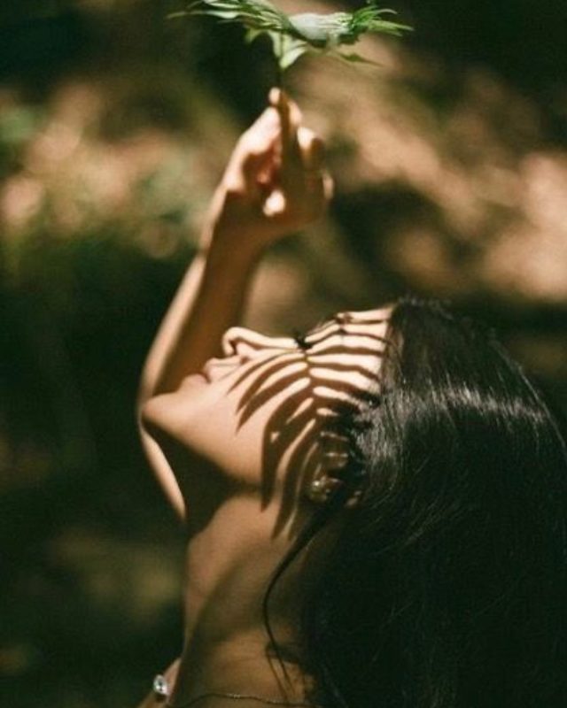 A woman’s face under the shadow of a fern